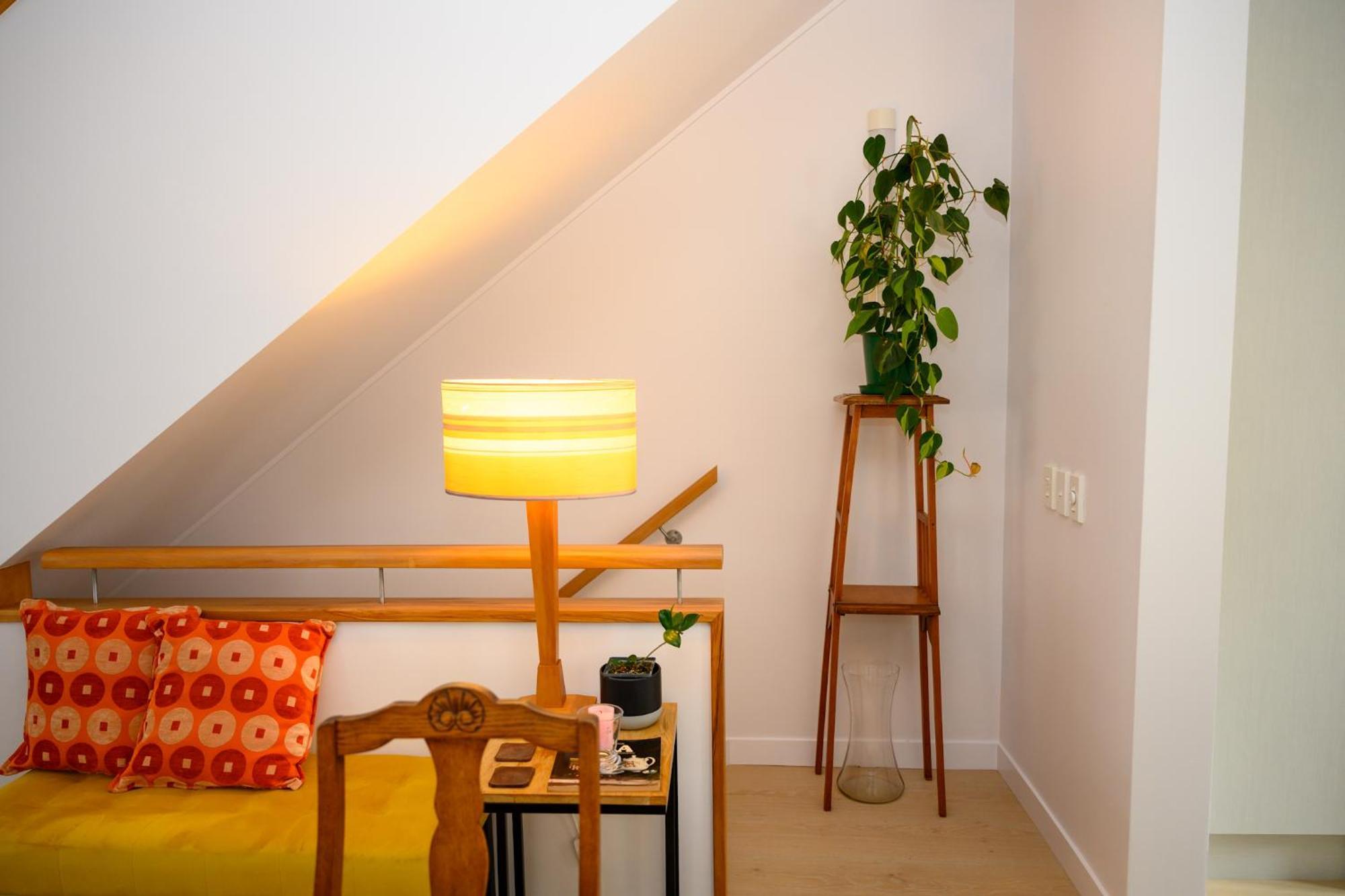 Omahanui - City Fringe Guesthouse 奥克兰 外观 照片